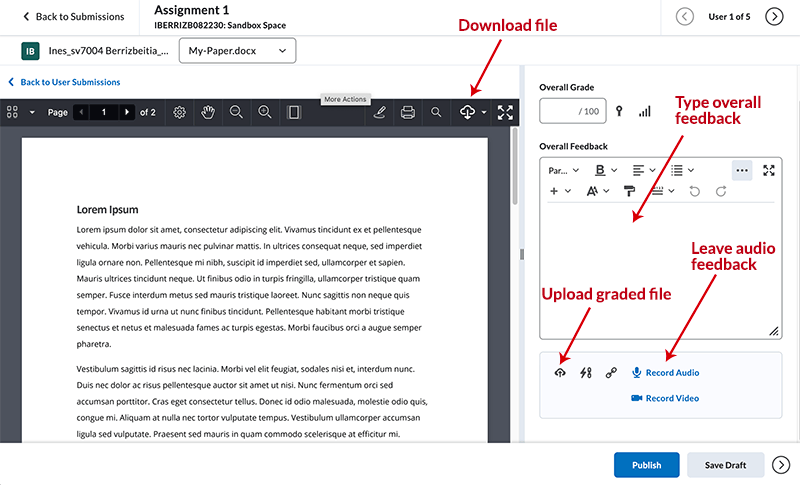 screenshot of the grading page for assignments