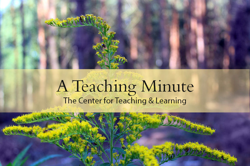 A Teaching Minute from the Center for Teaching and Learning